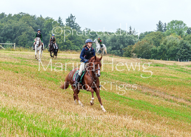 Jagd Kletkamp 26-02903_MarinaHewig | Fotografie, FotoArt, PferdesportArt, Pferdesportfotografie, Landschaftsfotografie, Reisefotografie, Reise, Pferde - Realisiert mit Pictrs.com