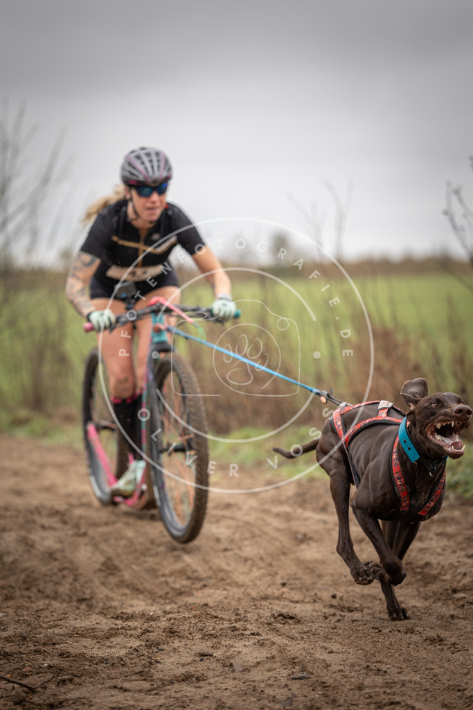 DV3A9172 | Hundefotografie, Tierfotograf, Pfotenfotografie, Fotoshooting Hund, Hunde Portrait, Hundesport, Hundeportraits, Heideshooting, Hunde, Sportfotograf, Hundefotograf, Turnierhundsport, THS,  - Realisiert mit Pictrs.com