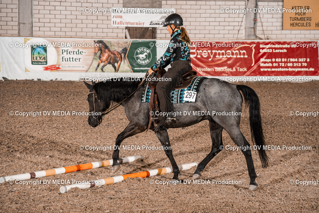 ZH200542 | dv-media-shop - Realisiert mit Pictrs.com