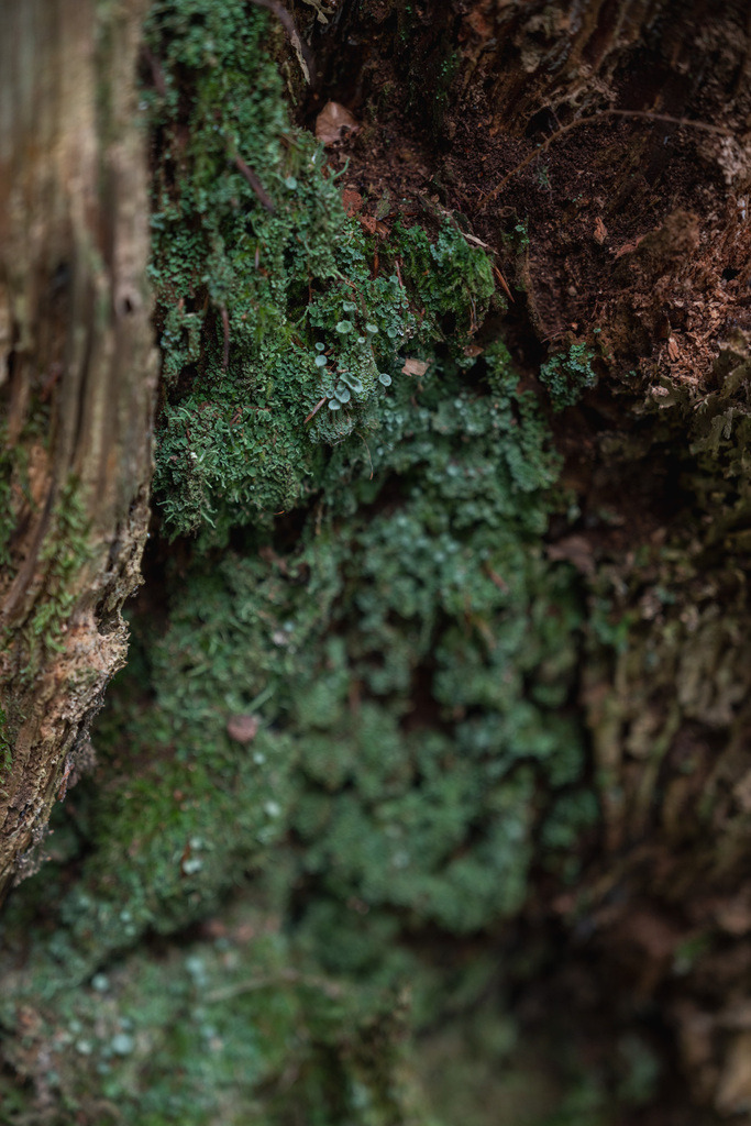 ZD250916094429 | Fotoshop von zweidimensional Fotografie. Ihr Fotograf im Aargau. Abzüge von Ihrem Fotobox Event bestellen.Abzüge von Ihrem Hochzeit bestellen.Abzüge von Ihrem Schulfotograf bestellen.