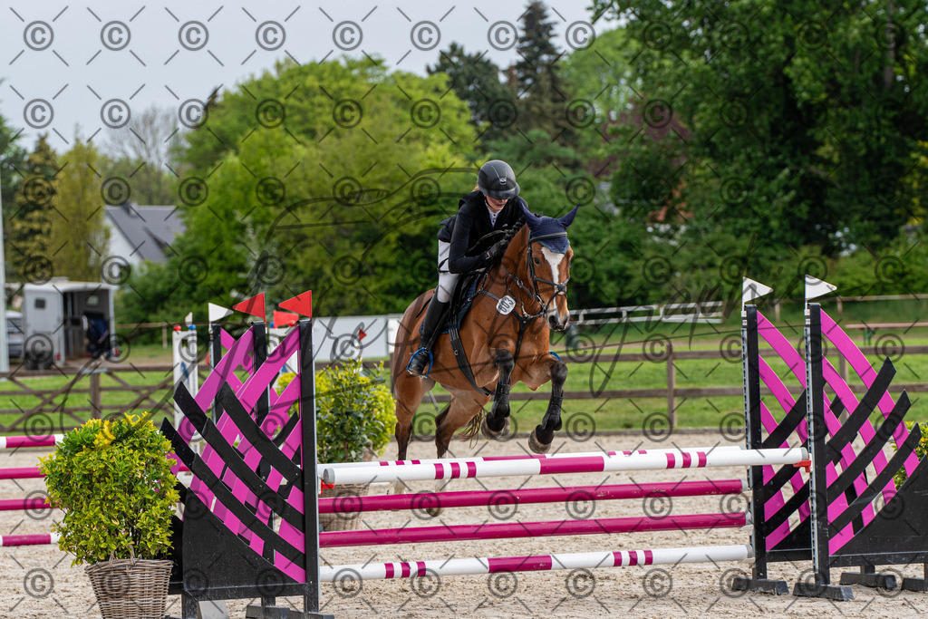 KPT_7776 | andre_photographic