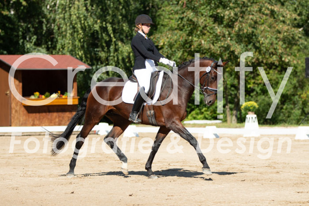 IMG_4929 | Creatify Fotografie