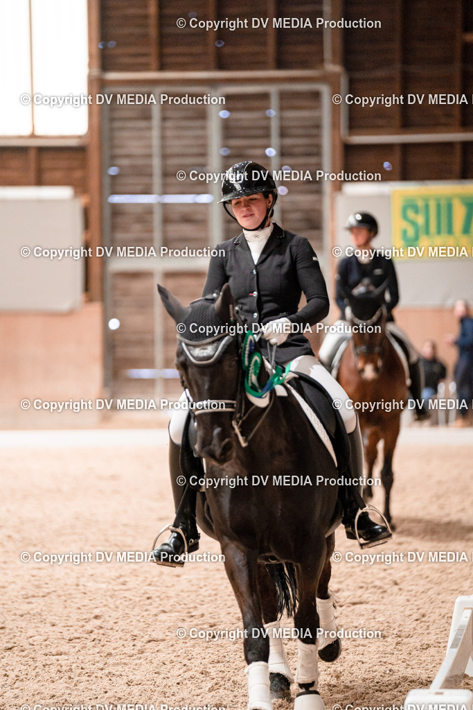 Dressur Tag 3-331 | dv-media-shop - Realisiert mit Pictrs.com