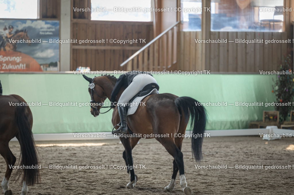 _D5A8456 | Emotionale Pferde- & People-Fotografie rund um Heidelberg, Leimen & Umgebung. Natürliche Fotos von Pferd, Mensch & Familie. Jetzt Termin sichern!