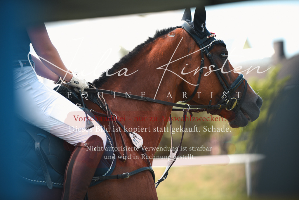 DSC_6466 | Pferde- und Turnierfotografie in Westsachsen. Pferdeportraits, Auftragszeichnungen und intuitive Kunst.