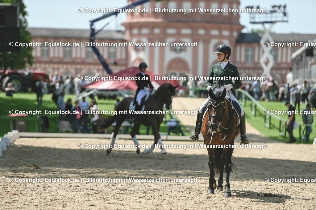 D78_2928 | equistock