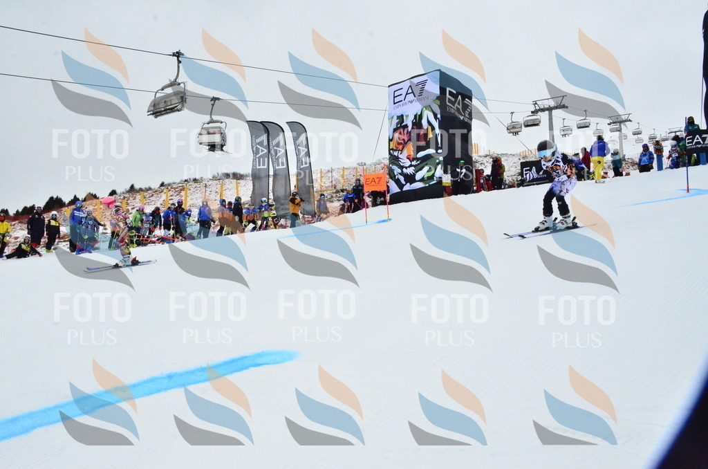 _ELE3236 | holidayphoto