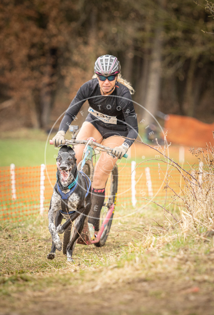 DV3A1728 | Hundefotografie, Tierfotograf, Pfotenfotografie, Fotoshooting Hund, Hunde Portrait, Hundesport, Hundeportraits, Heideshooting, Hunde, Sportfotograf, Hundefotograf, Turnierhundsport, THS,  - Realisiert mit Pictrs.com