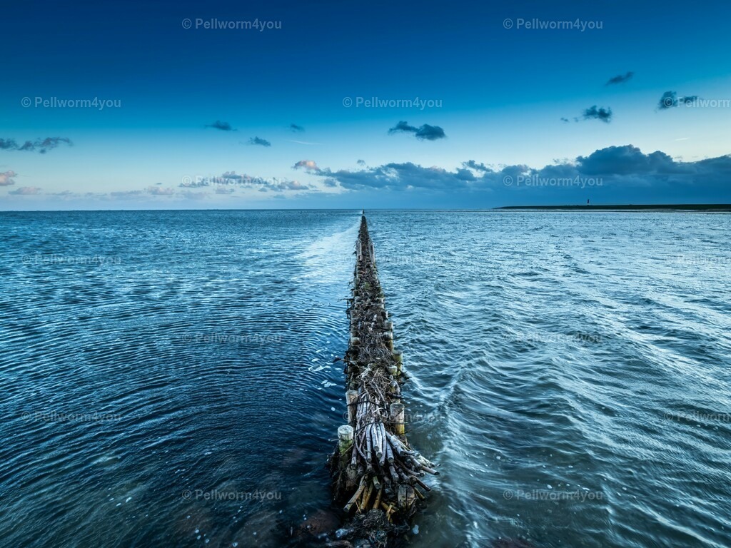 pellworm-kalender-2024-03-denoise-enhance-2x-sharpen | Pellwormer Bilder und Fotos als Poster, auf Leinwand mit Keilrahmen, hinter Acrylglas, auf Alu-Dibond oder Forex-Platte und vieles mehr. Zum verschenken, für die Ferienwohnung oder für zu Hause. - Realisiert mit Pictrs.com