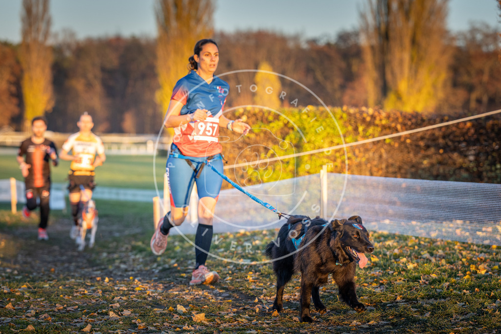 CaniXpix_DV3A5737 | Hundefotografie, Tierfotograf, Pfotenfotografie, Fotoshooting Hund, Hunde Portrait, Hundesport, Hundeportraits, Heideshooting, Hunde, Sportfotograf, Hundefotograf, Turnierhundsport, THS,  - Realisiert mit Pictrs.com