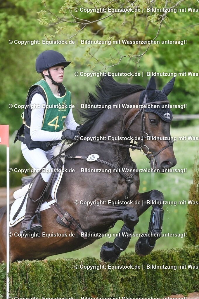 20250517_CCI1_Gelände_0682 | Foto: Thomas Hartig