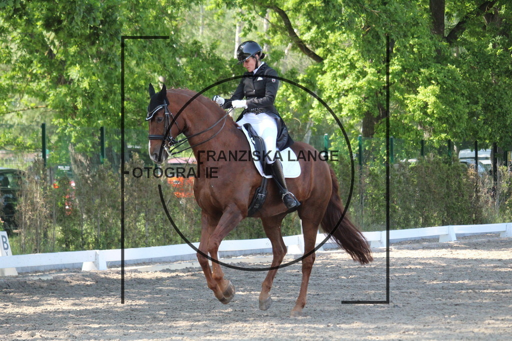 IMG_5147 | franziskalange - Realisiert mit Pictrs.com