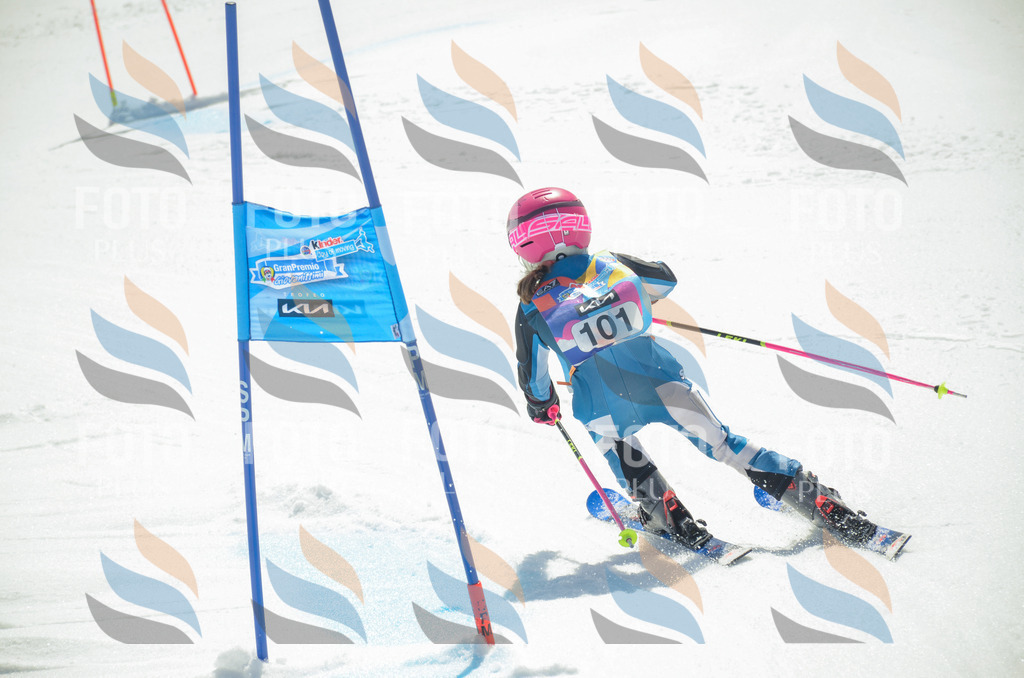 _ELE5800 | holidayphoto