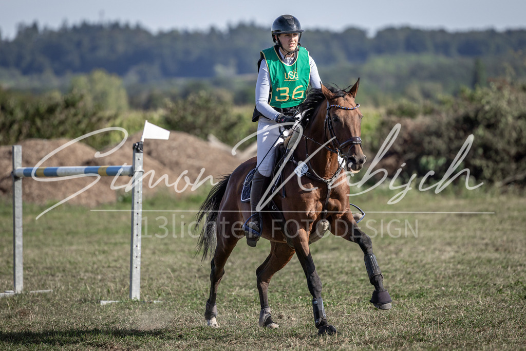 20250907-_3LI3697 | Tierfotografie Pferde, Hunde, Katzen, Haustiere.
Turnierfotografie Reitturniere, Reiten, Springreiten, Dressur in Hanau, dem Main-Kinzig-Kreis und dem Rhein-Main- Gebiet um Frankfurt
