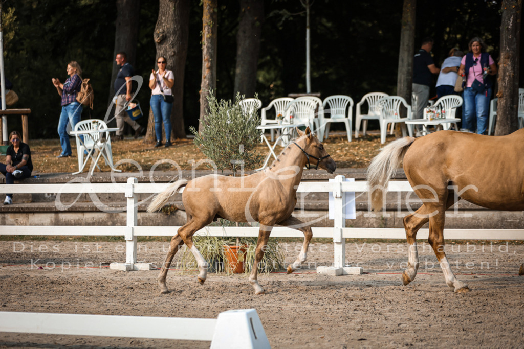 11.DoRP00193 | Leoni Ertmer Photography - Realisiert mit Pictrs.com