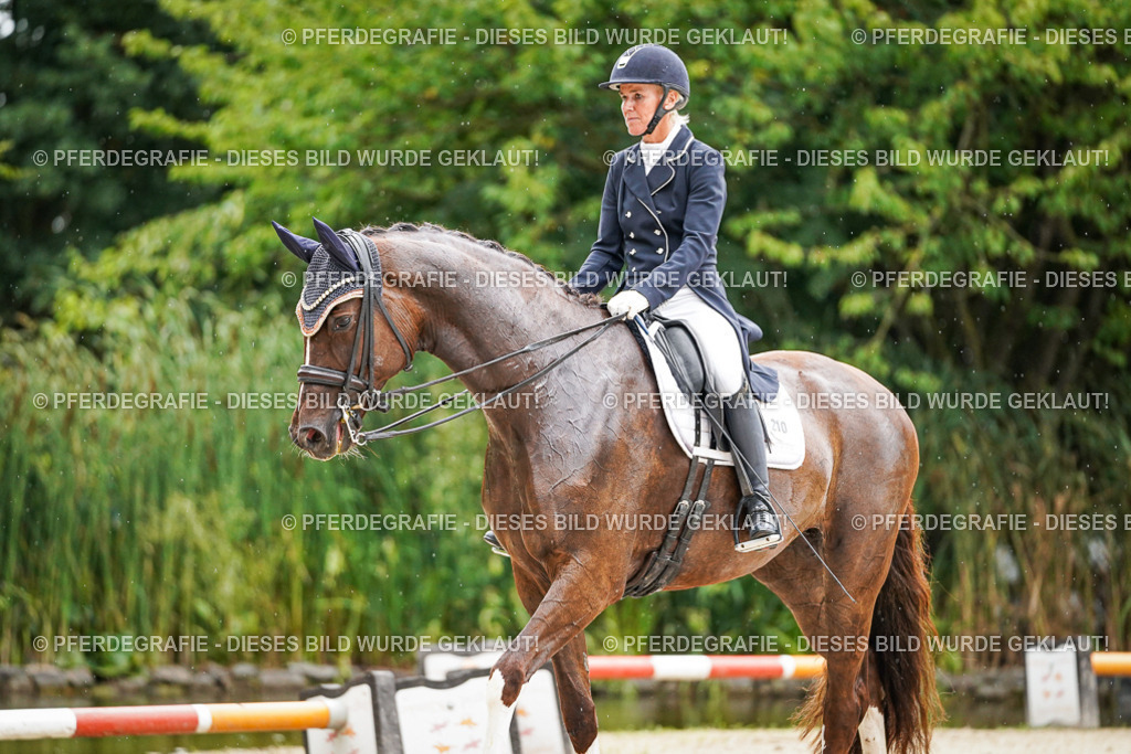 DSC07902 | Pferdegrafie