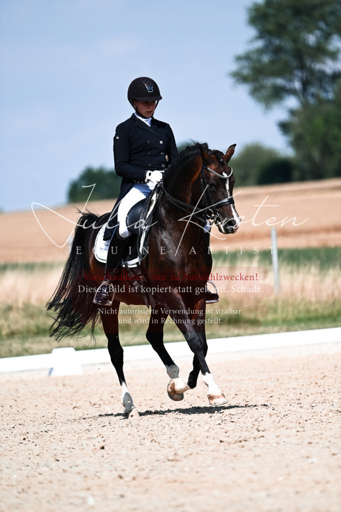 DSC_2949 | Pferde- und Turnierfotografie in Westsachsen. Pferdeportraits, Auftragszeichnungen und intuitive Kunst.