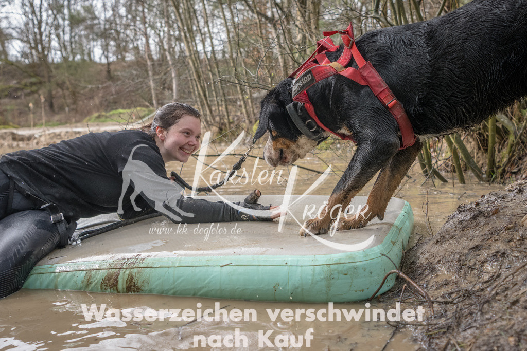 1306_ZZ94270-Bearbeitet | kk-dogfotos