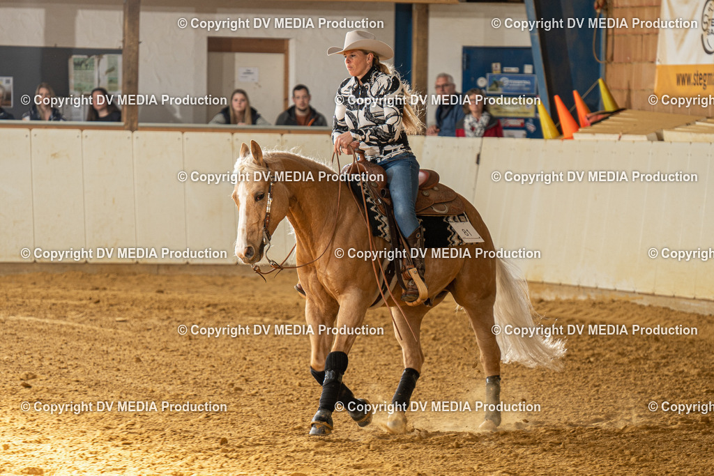 MIT01072 | dv-media-shop - Realisiert mit Pictrs.com