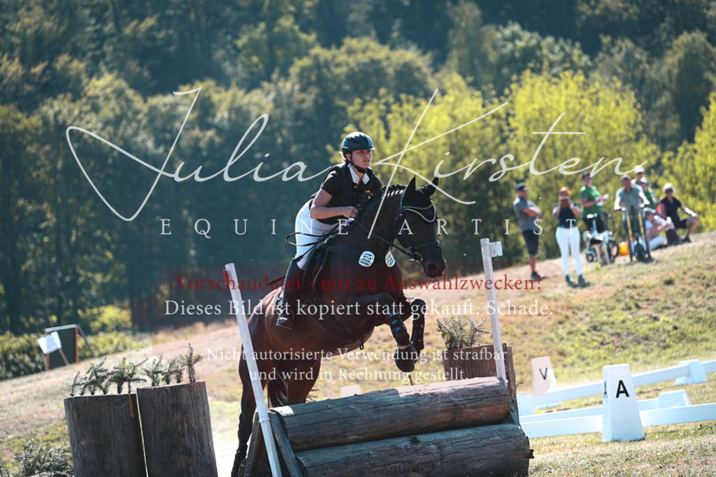 DSC_8229 | Pferde- und Turnierfotografie in Westsachsen. Pferdeportraits, Auftragszeichnungen und intuitive Kunst.