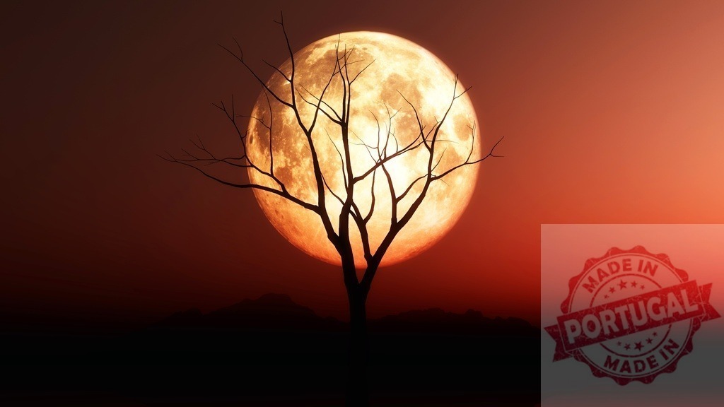 Full moon casting eerie glow behind bare tree | Bare tree silhouette standing against a vibrant full moon and dark red sky - Realisiert mit Pictrs.com