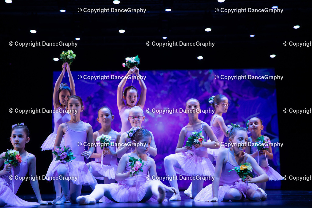 GPHY4899 | DanceGraphy - Realisiert mit Pictrs.com