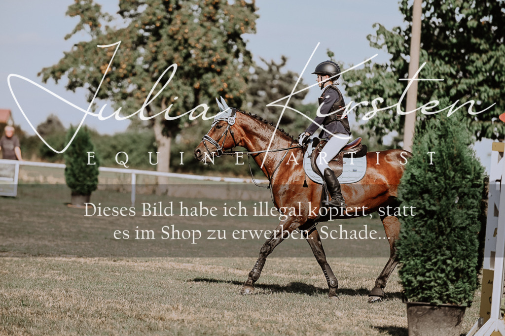 DSC_9391 | Pferde- und Turnierfotografie in Westsachsen. Pferdeportraits, Auftragszeichnungen und intuitive Kunst.