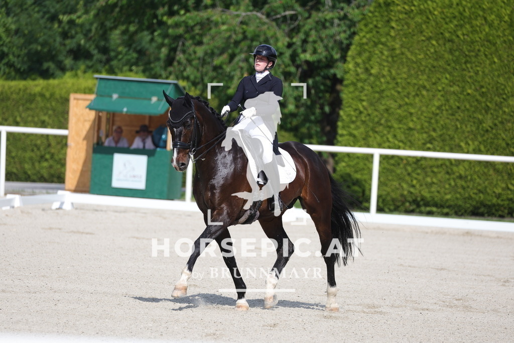 0P6A6724 | Willkommen bei Brunnmayr - Design & Fotografie – Ihrem Spezialisten für Reitturniere und Pferdeveranstaltungen in Oberösterreich, Salzburg und Bayern! Seit über 17 Jahren sind wir leidenschaftlich dabei.