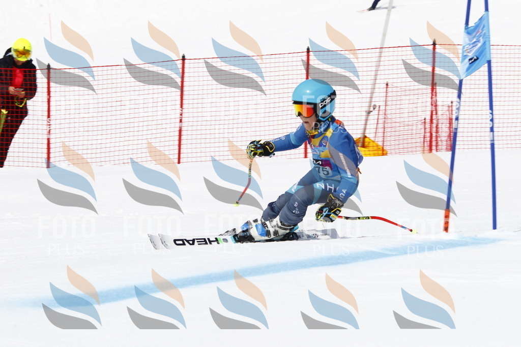 _U3G4619 | holidayphoto