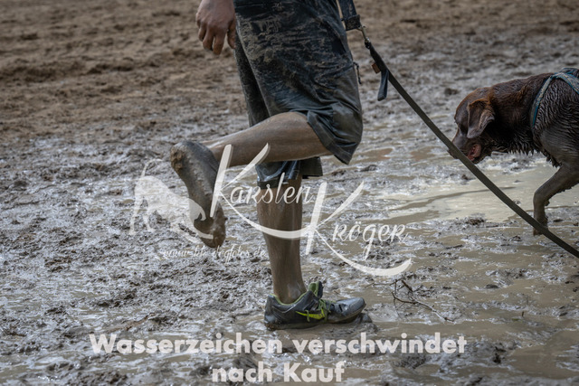 1331_ZZ94954 | kk-dogfotos