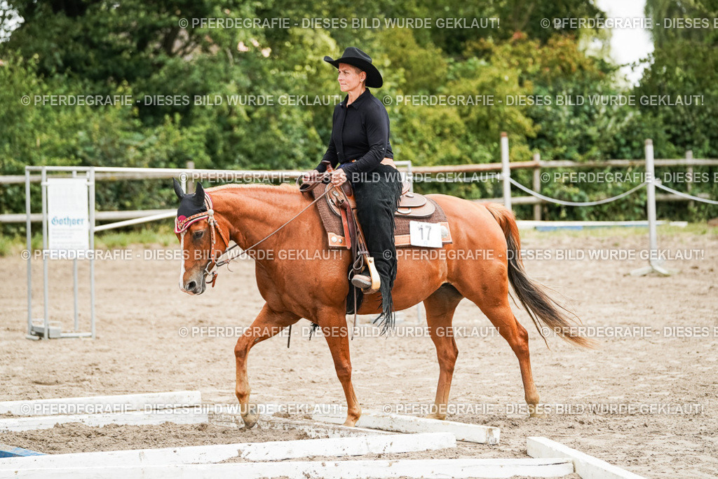 DSC08069 | Pferdegrafie