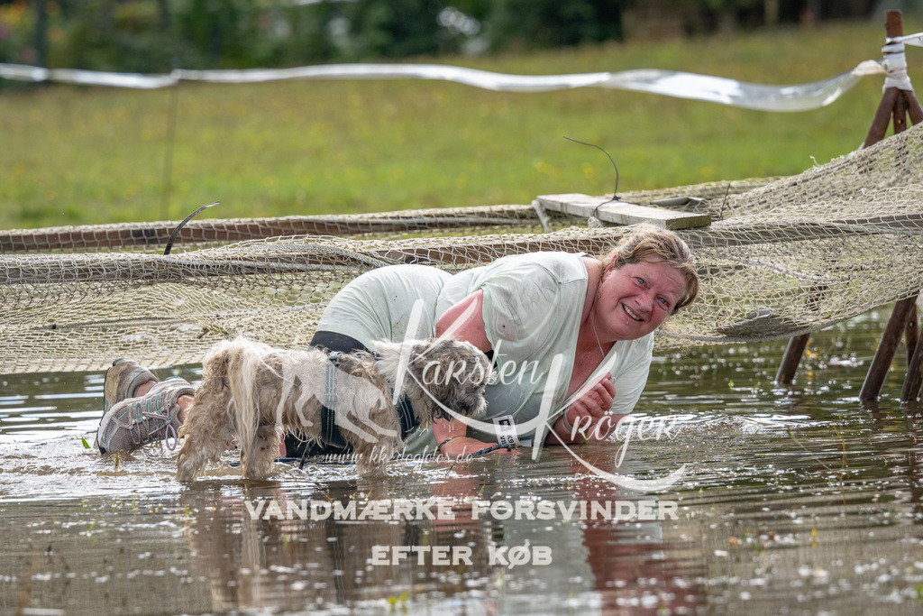 1339_ZZ90525 | kk-dogfotos