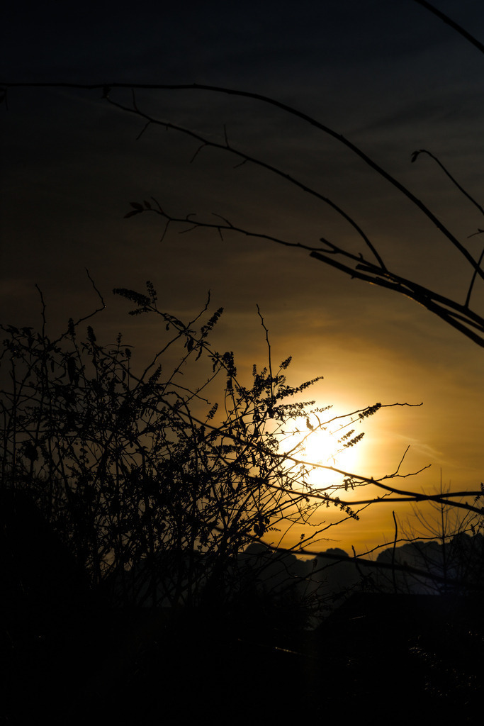 IMG_3317-1_WEB | strauss_fotografie - Realisiert mit Pictrs.com