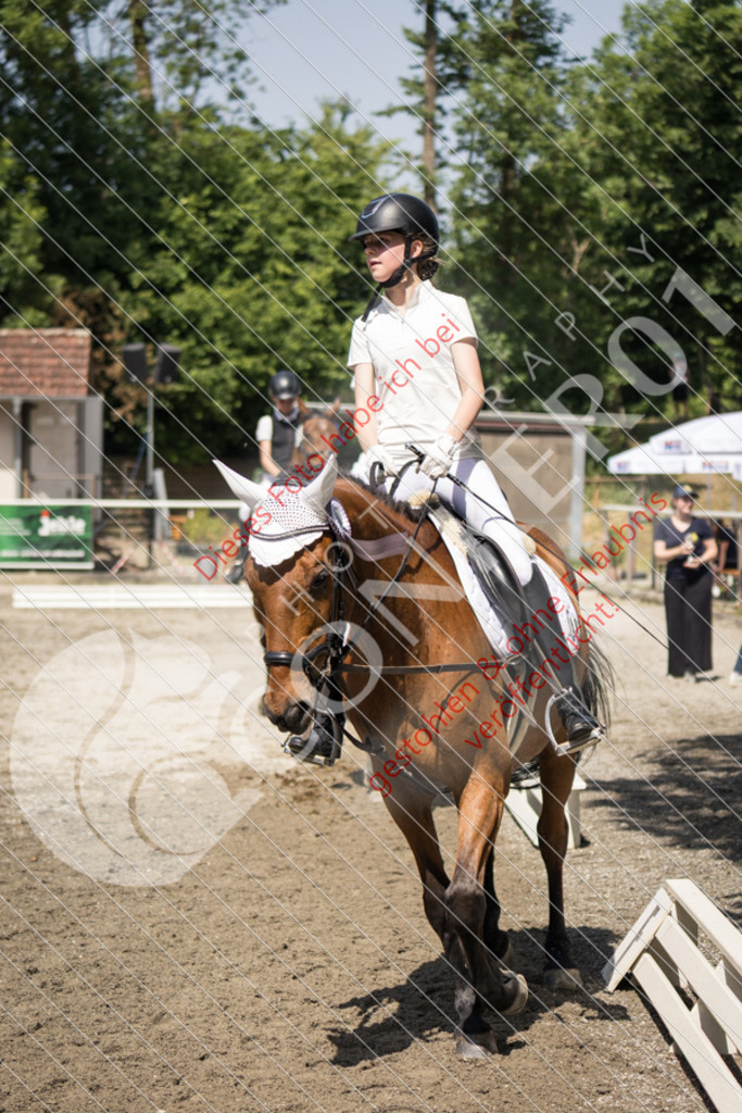 IMG_4764 | Sport-, Event- und Tierfotos in Profiqualität. Einfach auswählen, bestellen und herunterladen. Dein Moment – perfekt festgehalten.
