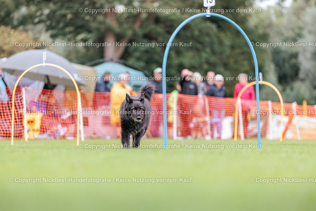 BSP Hoopers-H2-2026-Nickbest-Hundefotografie-TuS Komet Arsten e.V.-4087 | Dein Hund! Dein Moment! Deine Erinnerungen! Hundefotografie in Bremen Blumenthal. Ich fange die besonderen Momente deines Vierbeiners ein – ob Indoor mit Blitzanlage oder in der freien Natur. Sicher dir dein Moment und dein Termin für eure Erinnerungen.