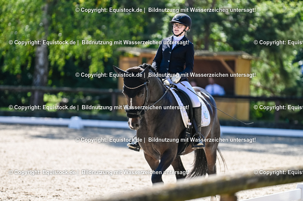 20230908_06_Dressur-L-Trense_0556 | equistock