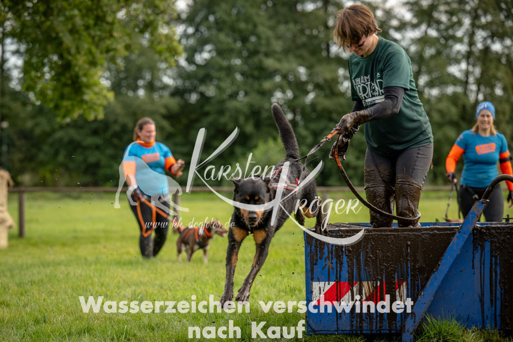 1045_ZZ92310 | kk-dogfotos