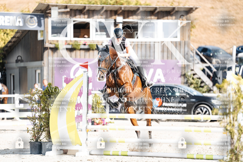 CK909528 | Turnierfotografie Pferdefotografie Trier Rheinland-Pfalz Pferdesport Reitsport Tierfotografie Sportfotografie Pferdevideo Pferdevideografie Equestrianvideography equestrianphotography  - Realisiert mit Pictrs.com