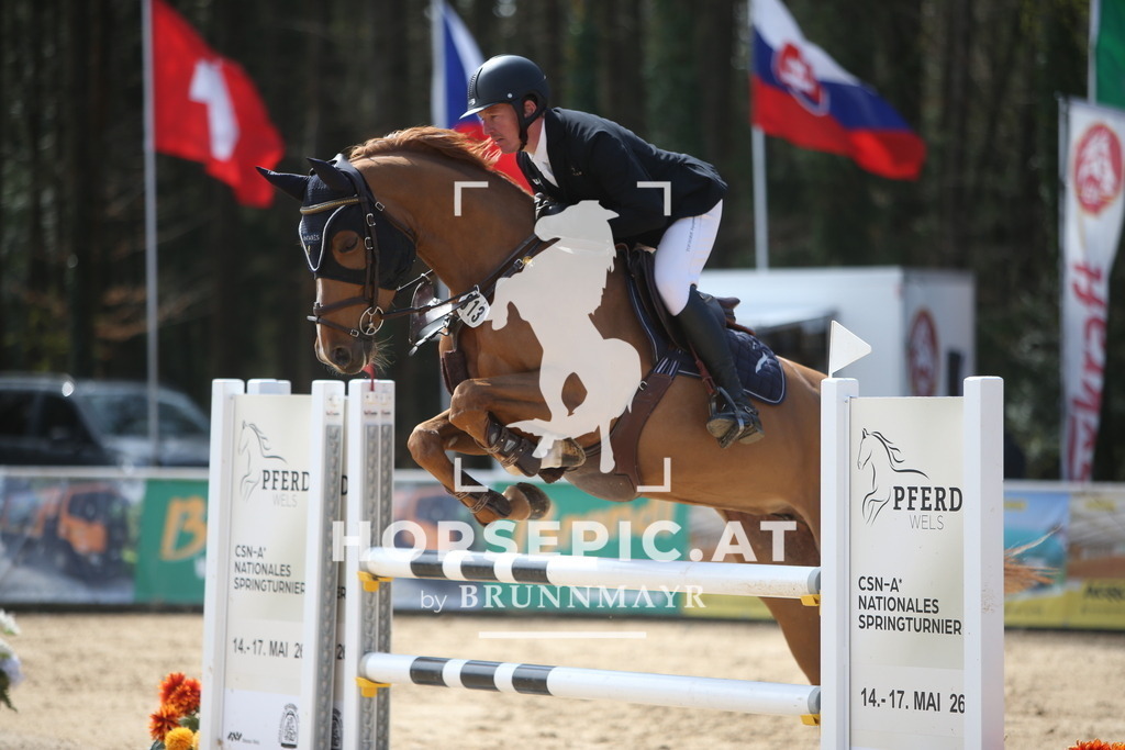 PP014050 | Willkommen bei Brunnmayr - Design & Fotografie – Ihrem Spezialisten für Reitturniere und Pferdeveranstaltungen in Oberösterreich, Salzburg und Bayern! Seit über 17 Jahren sind wir leidenschaftlich dabei.
