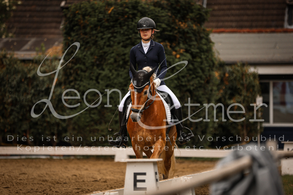 DoDrE00308 | Leoni Ertmer Photography - Realisiert mit Pictrs.com