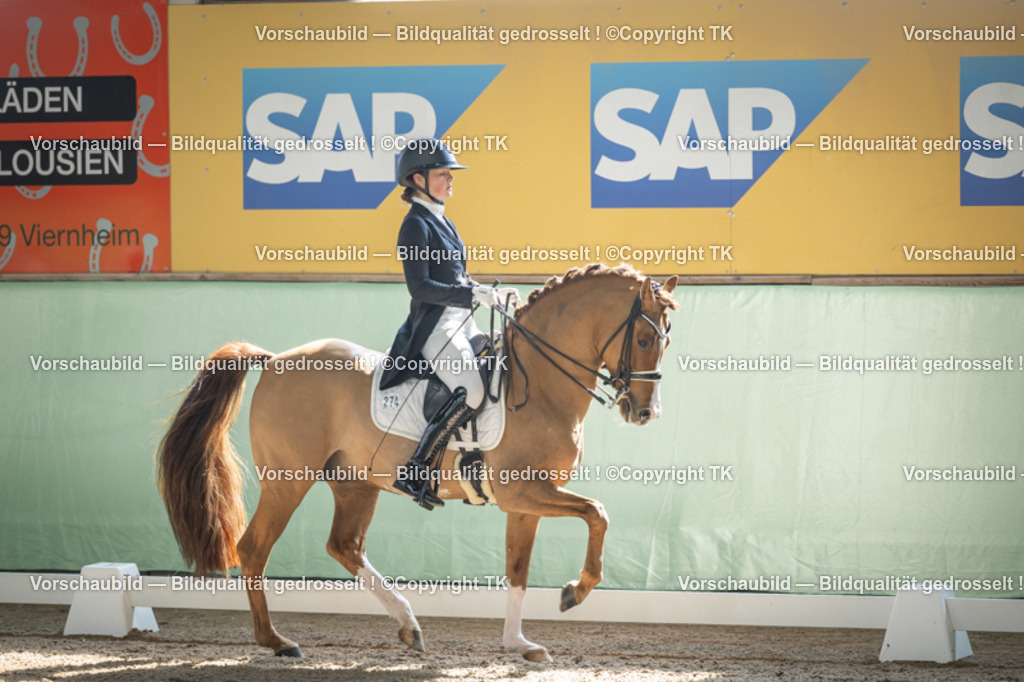 _D5A9397 | Emotionale Pferde- & People-Fotografie rund um Heidelberg, Leimen & Umgebung. Natürliche Fotos von Pferd, Mensch & Familie. Jetzt Termin sichern!