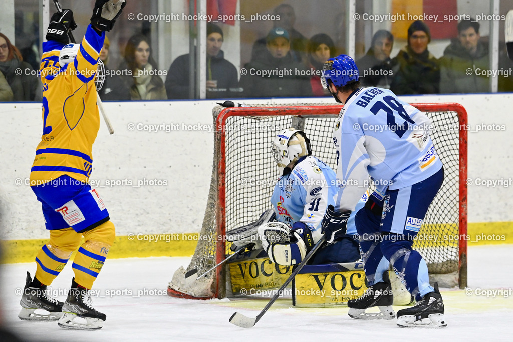  EHC Althofen vs. ESC Steindorf 9.3.202 | #31 Steiner Paul, #28 Bacher Stefan, Tor EHC Althofen