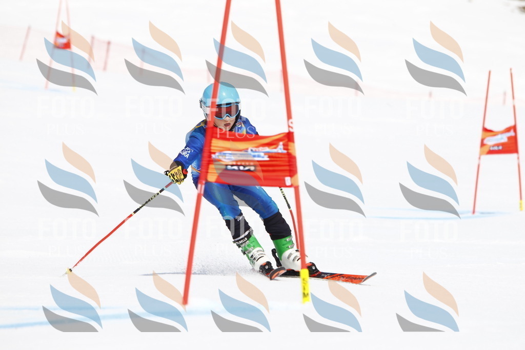 _U3G5367 | holidayphoto