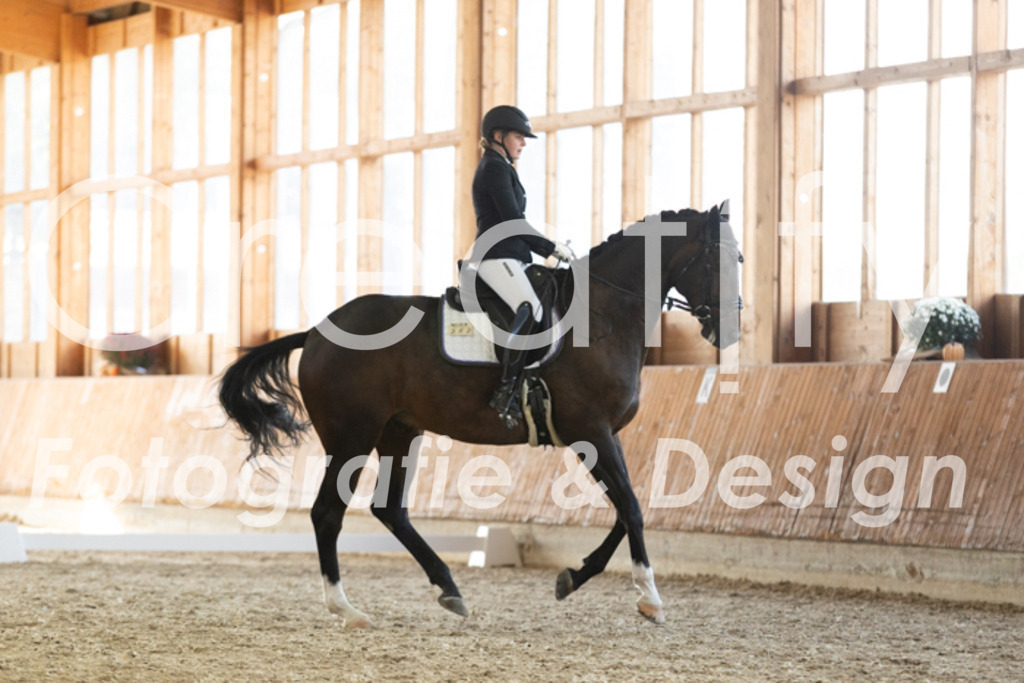 IMG_3451 | Creatify Fotografie