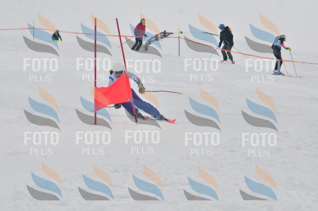 A5864 | holidayphoto