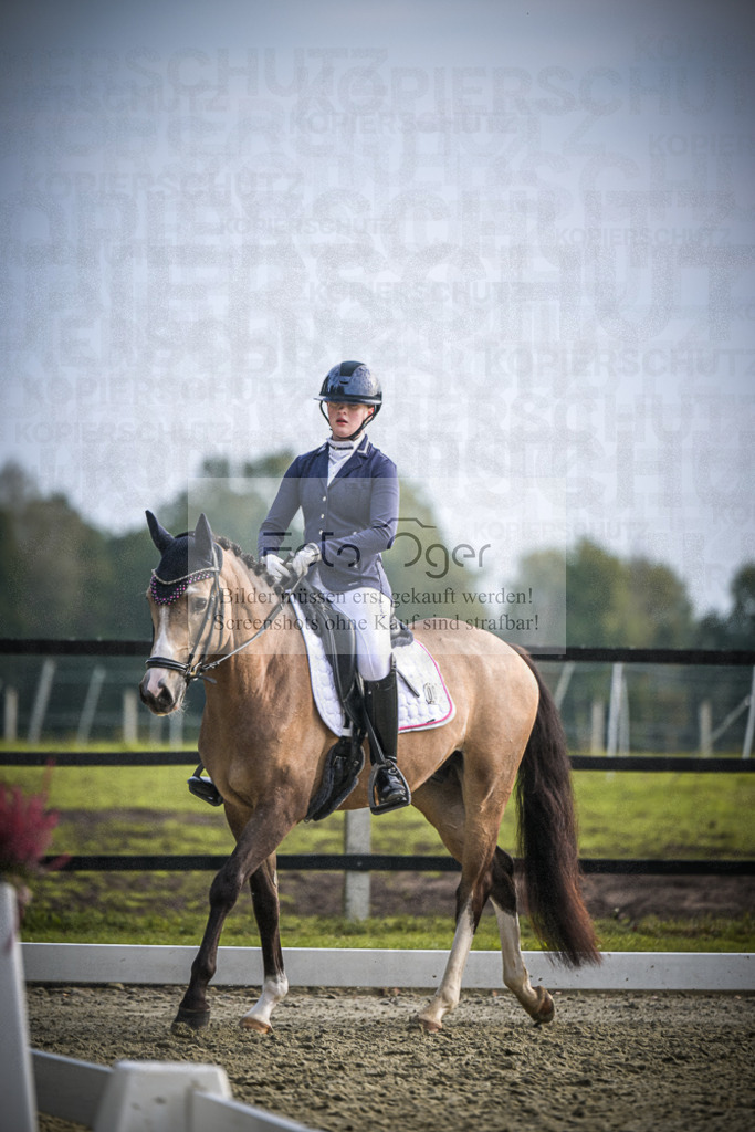 DOS_B031 | Entdecke hochwertige Reitturnierfotos von Foto Oger. Professionell, emotional und authentisch – jetzt Lieblingsmomente im Shop bestellen.Deutschlandweite Turnierfotografie. - Realisiert mit Pictrs.com