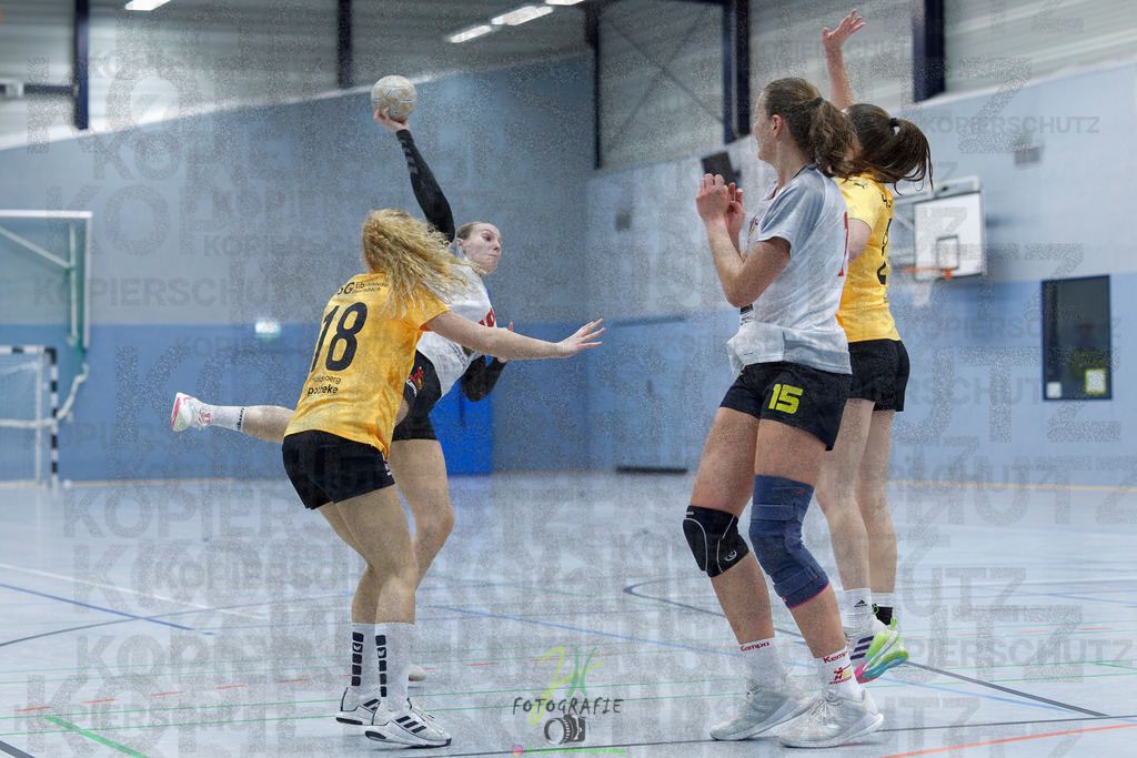 Frauen Oberliga Mitte (HHV); HSG Eibelshausen/Ewersbach - HSG Wettenberg II | Frauen Oberliga Mitte (HHV); HSG Eibelshausen/Ewersbach - HSG Wettenberg II am 13.12.2025 in Steinbrücken (Sporthalle am Hammerweiher)Photo © 2025 - Jörg Heinrich - Realisiert mit Pictrs.com