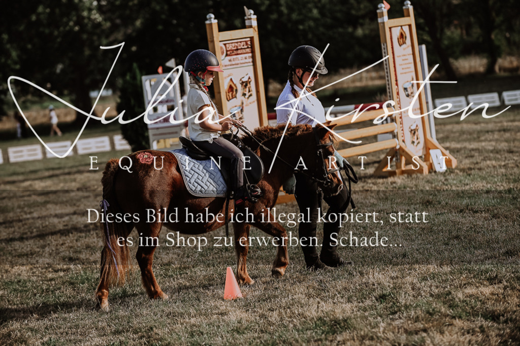 DSC_0133 | Pferde- und Turnierfotografie in Westsachsen. Pferdeportraits, Auftragszeichnungen und intuitive Kunst.