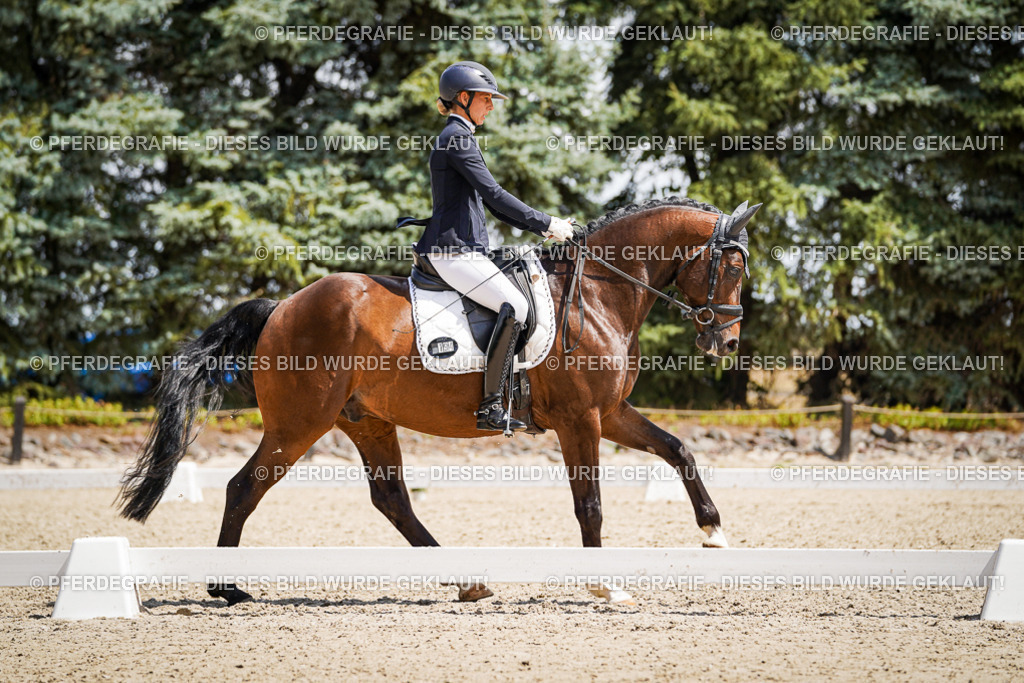 DSC01450 | Pferdegrafie