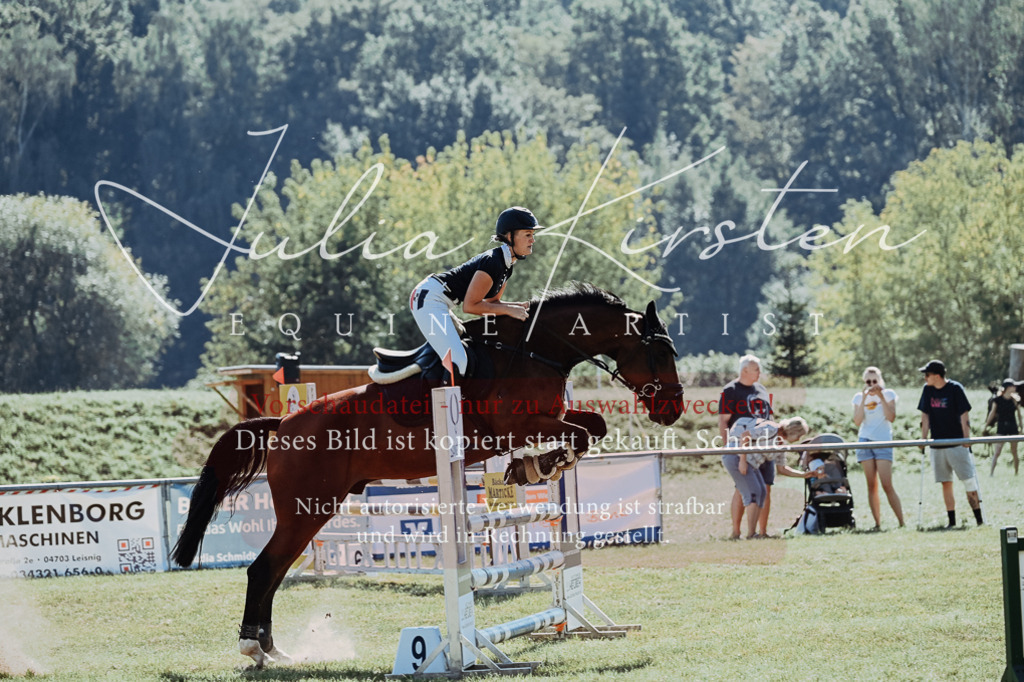 DSC_5824 | Pferde- und Turnierfotografie in Westsachsen. Pferdeportraits, Auftragszeichnungen und intuitive Kunst.